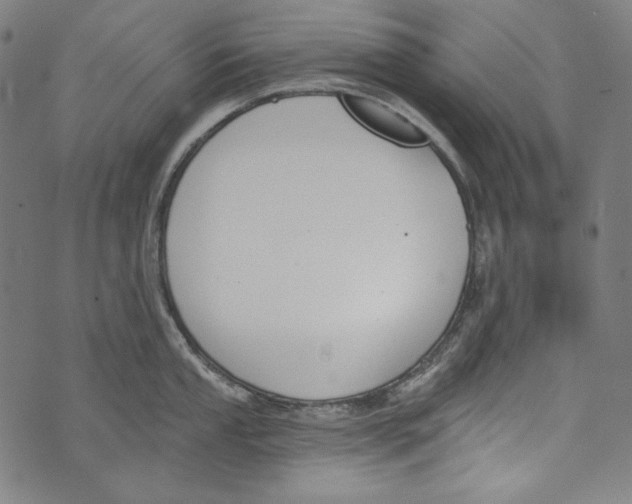 X0000073951053200609181356