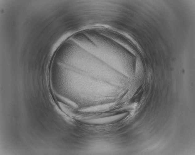 X0000073951054200609181356