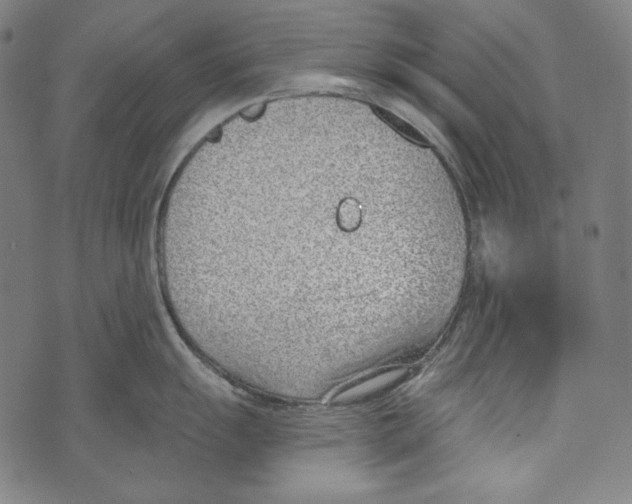 X0000073951055200609181356