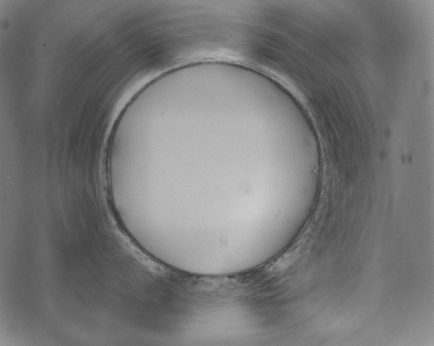 X0000073951056200609181356