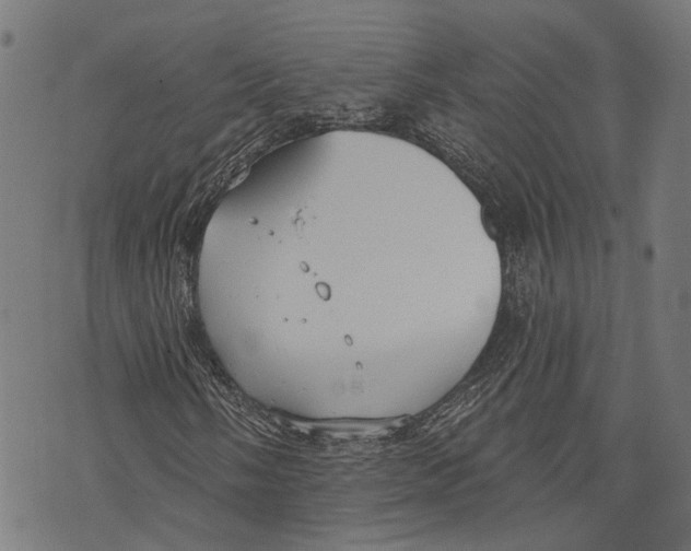 X0000073951058200609181355