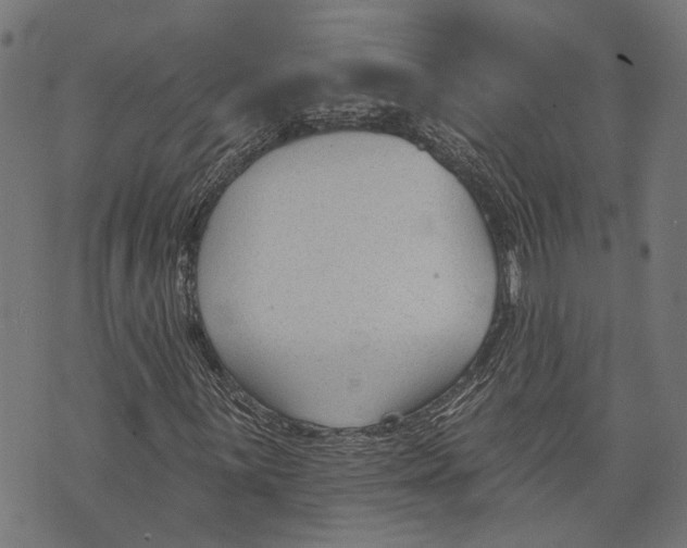 X0000073951059200609181355