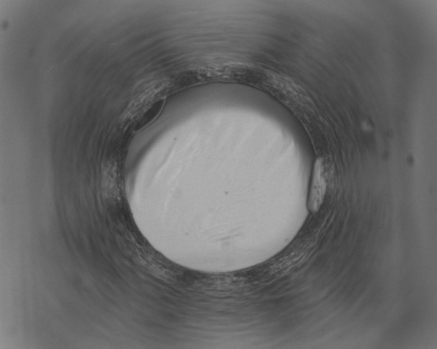 X0000073951060200609181355