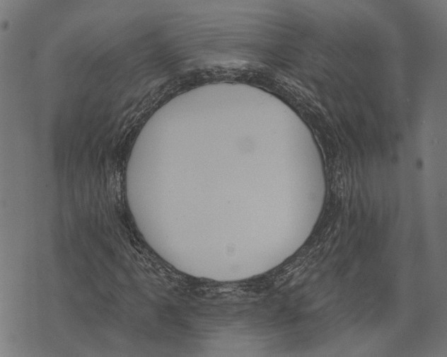 X0000073951061200609181355