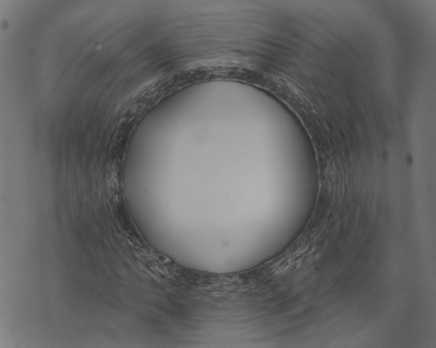 X0000073951062200609181355