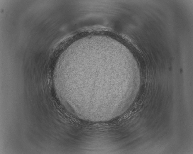 X0000073951063200609181355