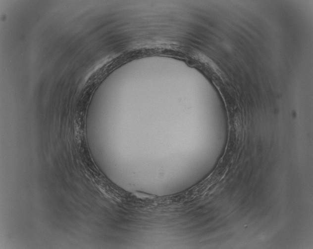 X0000073951064200609181355