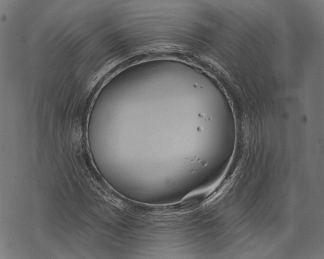 X0000073951065200609181355