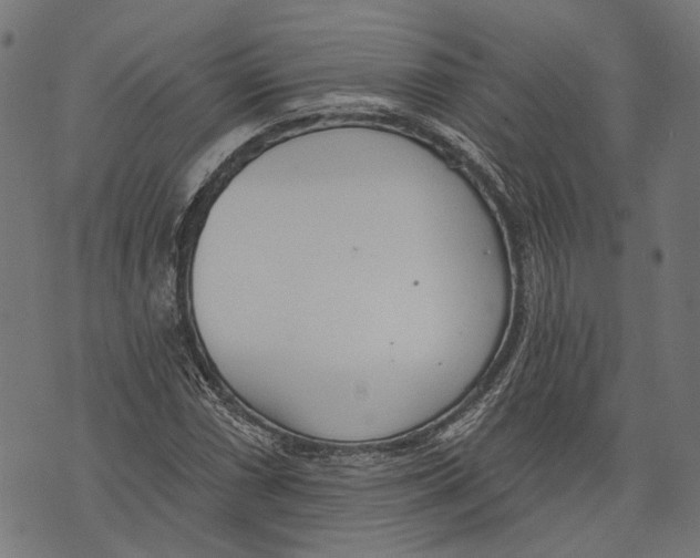 X0000073951066200609181355