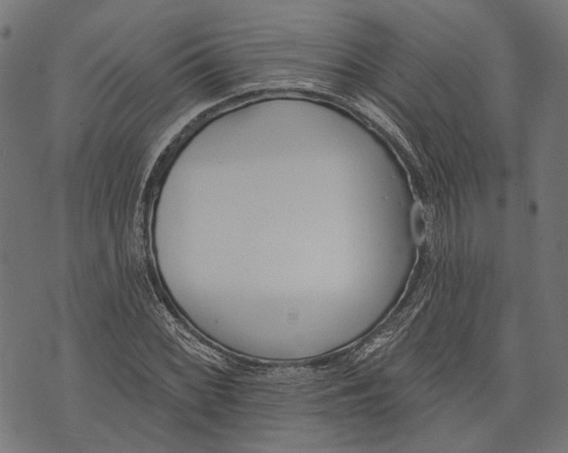 X0000073951068200609181355