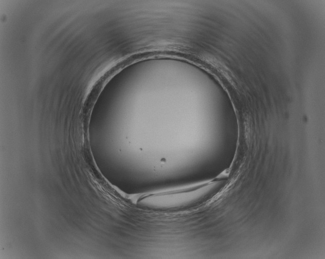 X0000073951069200609181355