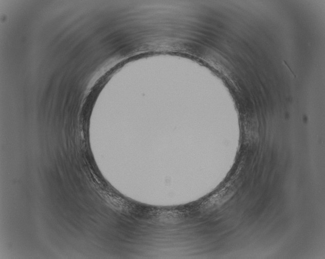 X0000073951070200609181355