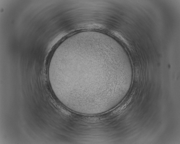 X0000073951071200609181355