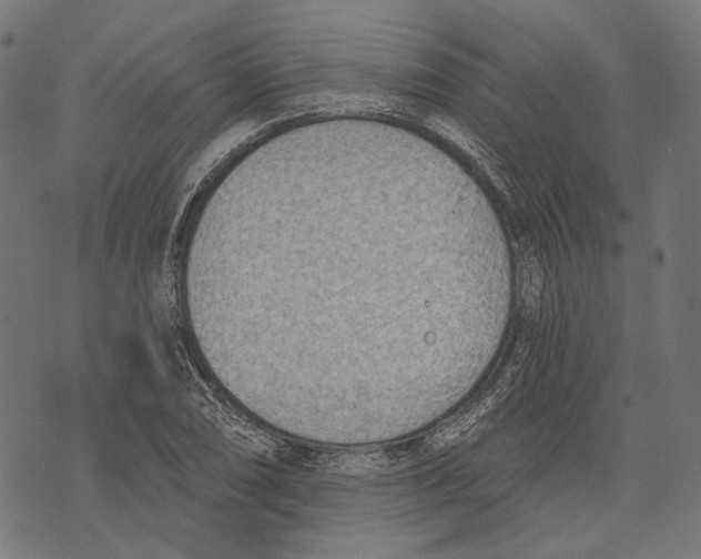 X0000073951074200609181355