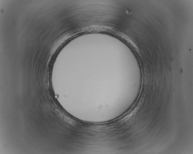 X0000073951075200609181355