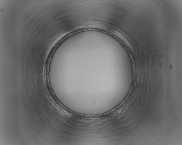 X0000073951076200609181355