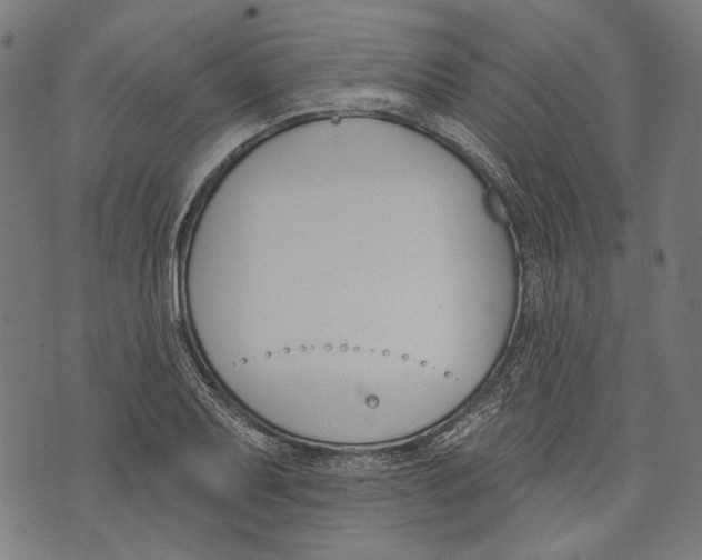 X0000073951079200609181355