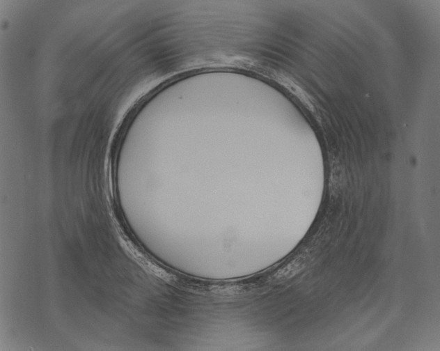 X0000073951080200609181355