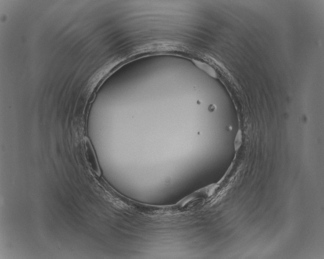 X0000073951081200609181355