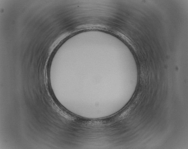 X0000073951082200609181355