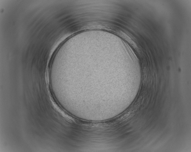 X0000073951084200609181355