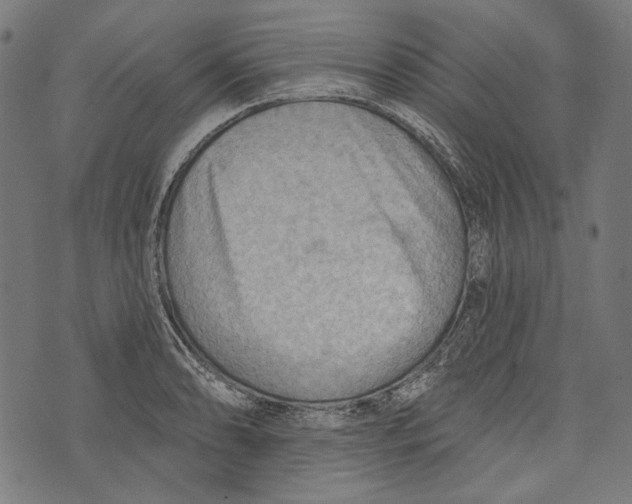 X0000073951086200609181355