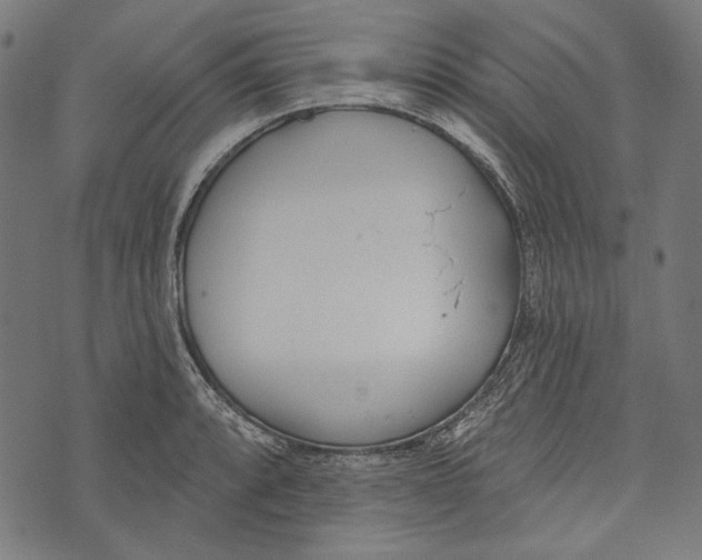 X0000073951088200609181355