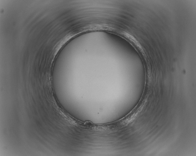 X0000073951089200609181355