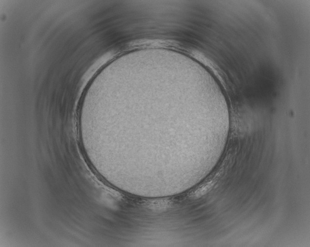 X0000073951090200609181355