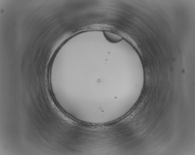 X0000073951091200609181355