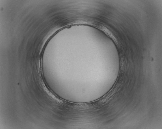 X0000073951092200609181355