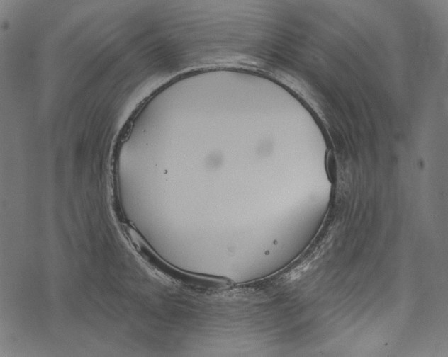 X0000073951093200609181355