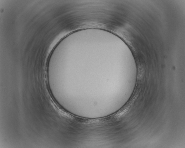 X0000073951094200609181355