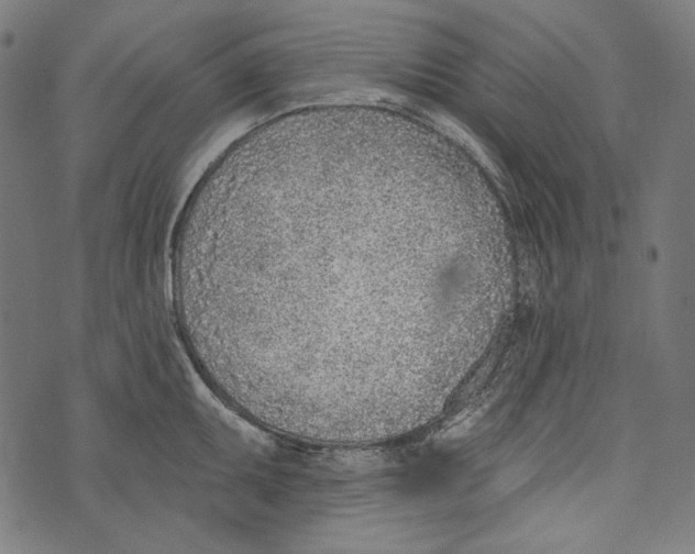 X0000073951095200609181355