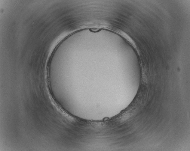 X0000073951096200609181355