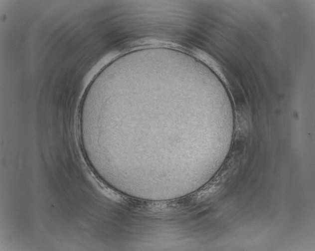 X0000073951098200609181355