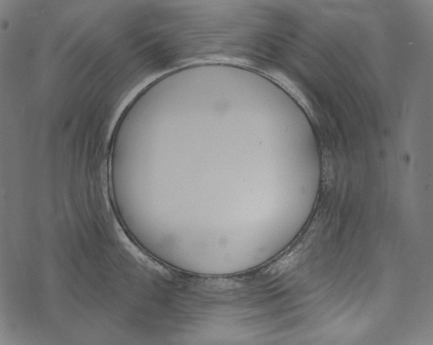 X0000073951100200609181355