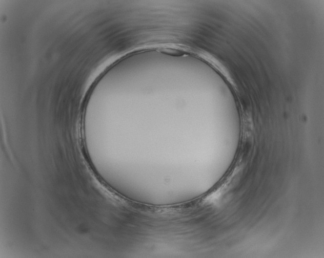 X0000073951101200609181355