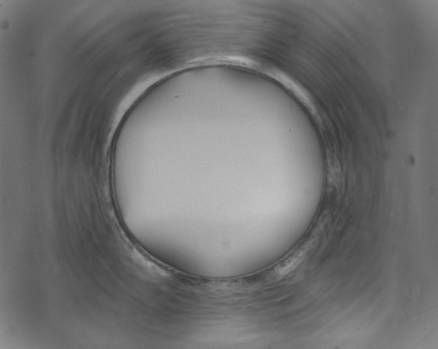 X0000073951102200609181355