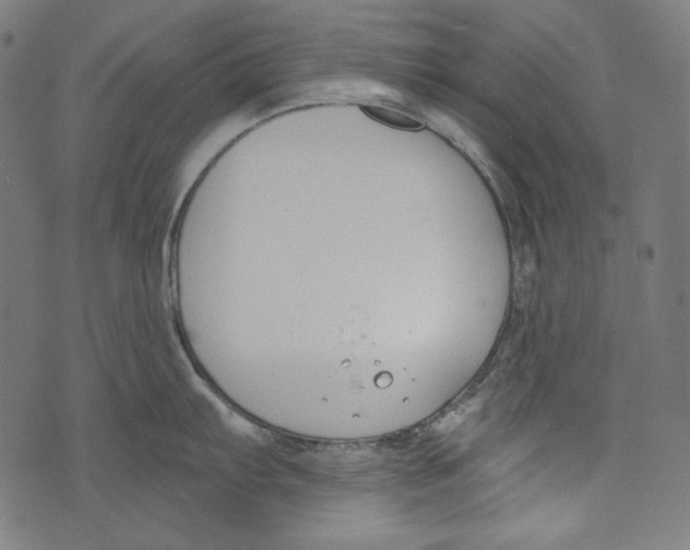 X0000073951103200609181355