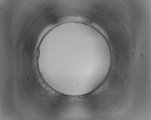 X0000073951104200609181355