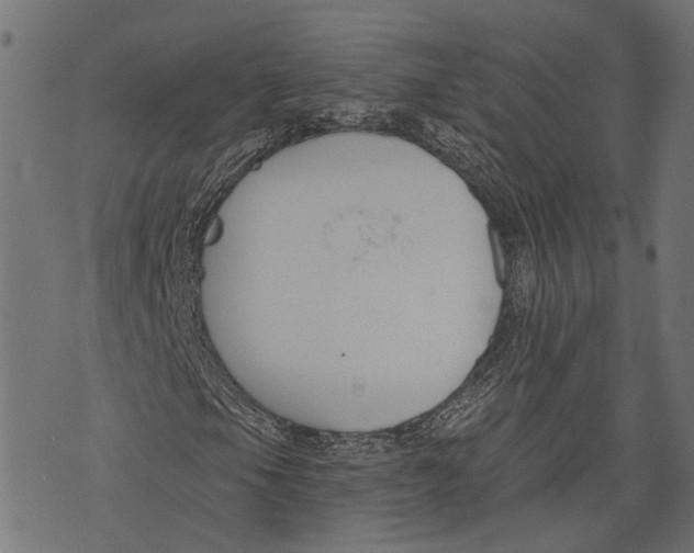 X0000073951105200609181354