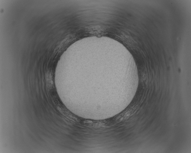 X0000073951106200609181354