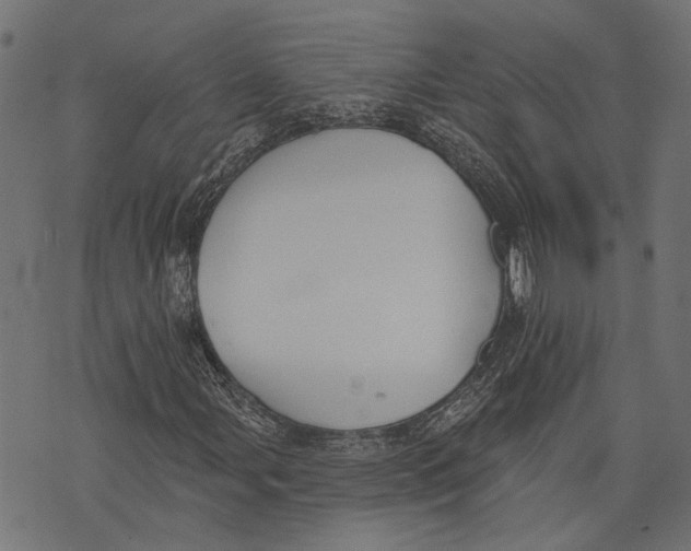 X0000073951107200609181354