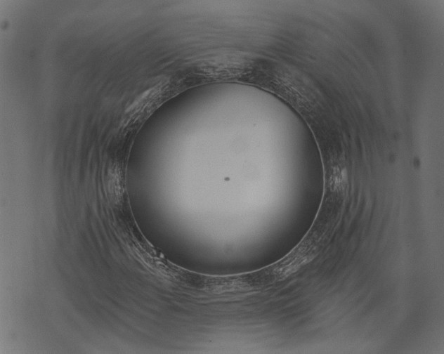 X0000073951108200609181354