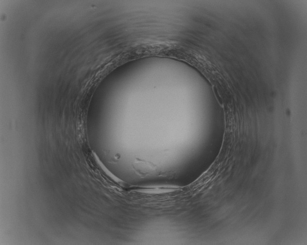 X0000073951109200609181354