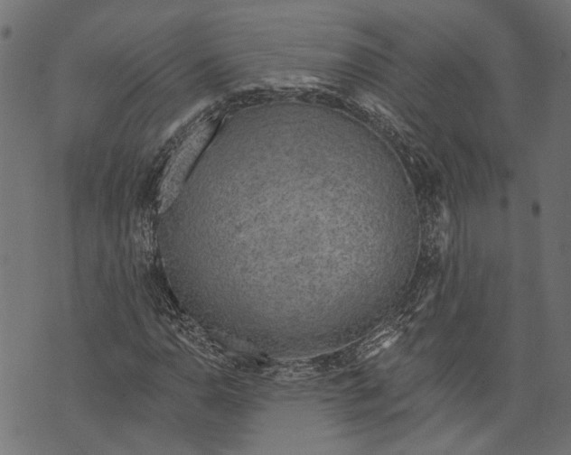 X0000073951110200609181354