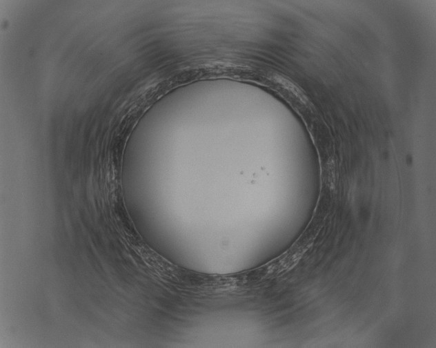 X0000073951111200609181354