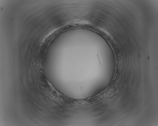 X0000073951112200609181354