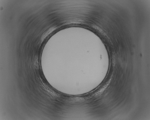 X0000073951113200609181354